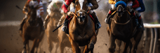 Advantages of Each Way Bets in Horse Racing