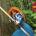 Sky Song as Merida (Rick Currier Photography)
