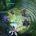 MOBA game