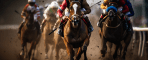 Advantages of Each Way Bets in Horse Racing